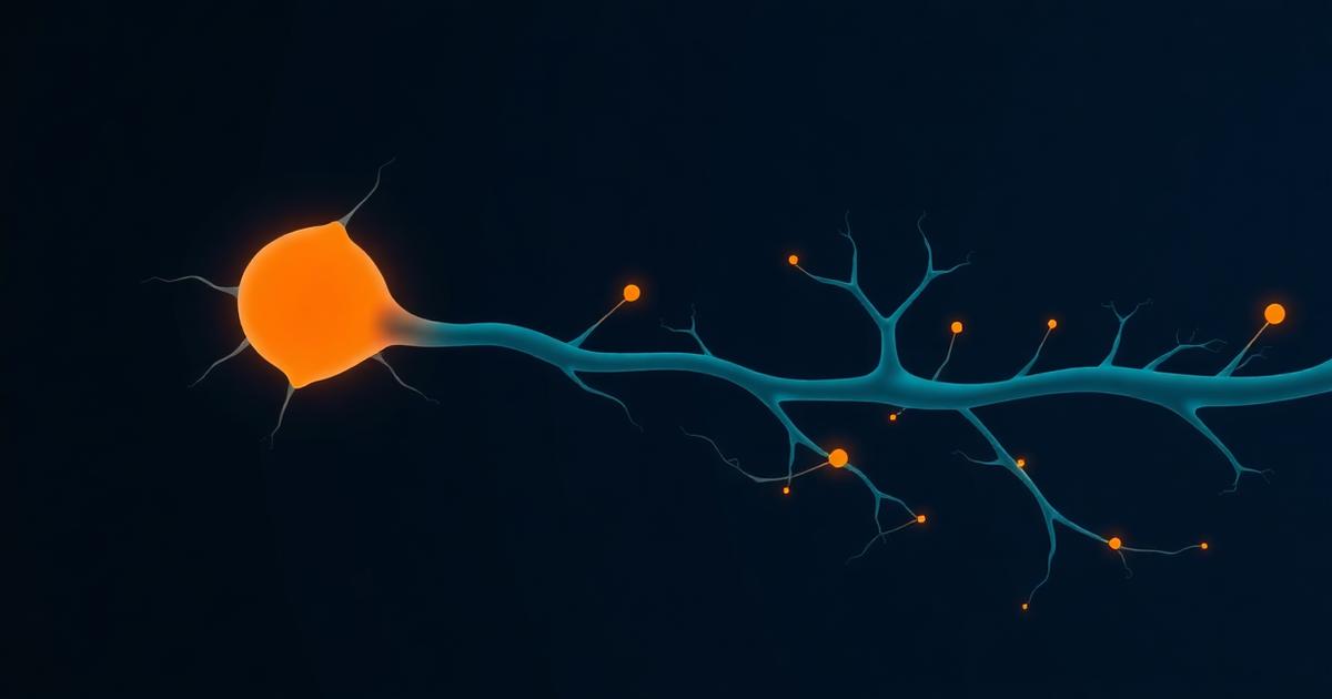 Abstract stylized neuron with a warm orange node and soft teal dendrite branches spreading outward on a dark navy background